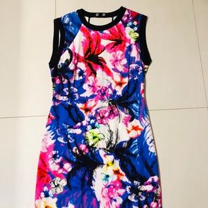 Sandro dress